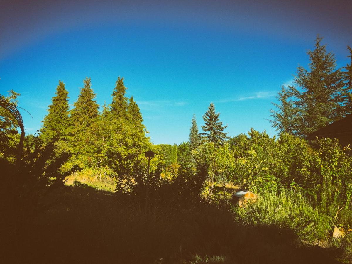 Allemans La Montagne Sud Bed & Breakfast エクステリア 写真
